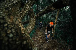 BIB: 
                            <button type="button" onclick="openModal(25695767)" class="btn btn-primary btn-sm float-right btn-popup" data-toggle="modal" data-target=".modal-high-quality">
                        <i class="fas fa-shopping-cart"></i> Add to Cart
                    </button>
                                            <button type="button" onclick="isThisMe(25695767, true)" class="btn btn-success btn-sm float-right btn-popup btn-isme hidden" data-toggle="tooltip" data-placement="bottom" title="นี่คือรูปของคุณใช่ไหม คลิกที่นี่เพื่อเอาเข้าอัลบั้ม">
                        <i class="fas fa-plus"></i> Add to album
                    </button>
                    <button type="button" onclick="isThisMe(25695767, false)" class="btn btn-warning btn-sm float-right btn-popup btn-isnotme hidden">
                        <i class="fas fa-ban"></i> Remove from album
                    </button>